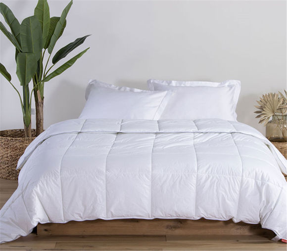 Εικόνα της ΠΑΠΛΩΜΑ KING SIZE MICROFIBER 240X260